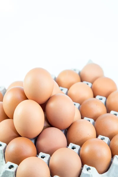 Egg in the package — Stock Photo, Image