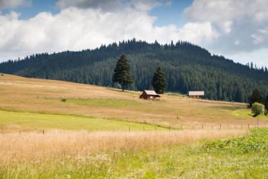 Karpat Dağları 'ndaki dağlar, Bucegi Dağları.