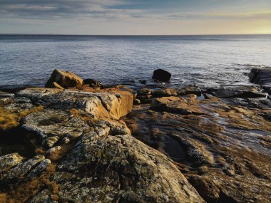 İsveç 'te Kuzey Denizi