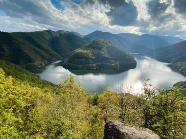 Romanya 'da Cluj Napoca, Tarnita Gölü yakınlarındaki bir gölde yeşil ormanlık bölge