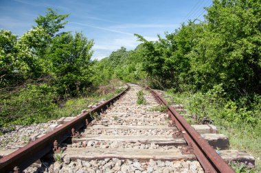 Demiryolu ormanı. Güzel doğa manzarası
