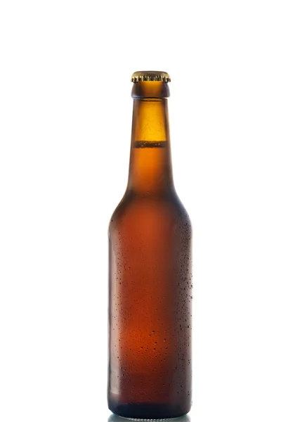Бутылка пива на белом — стоковое фото