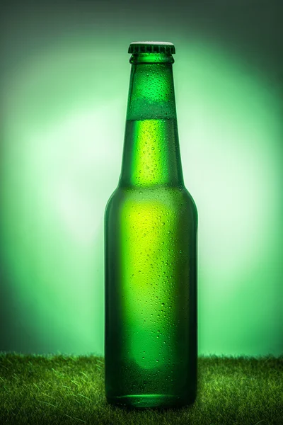 Garrafa de cerveja na grama — Fotografia de Stock