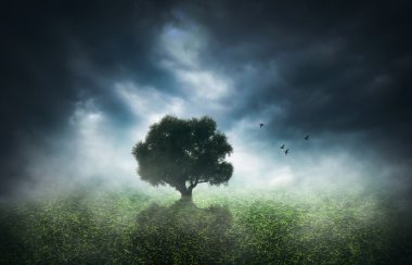 Geceleri yalnız ağacı 