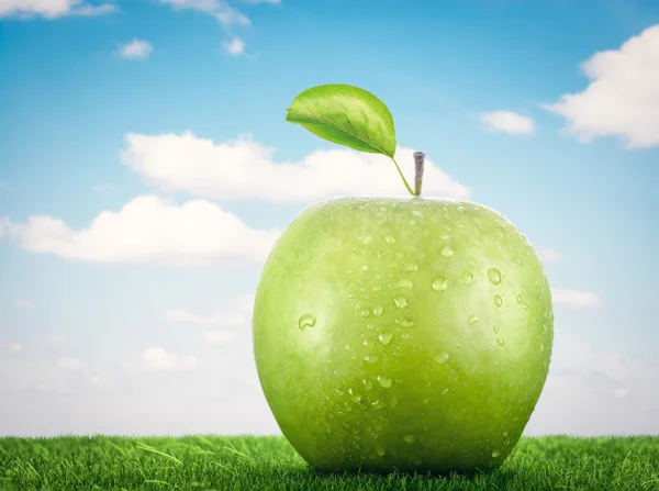 Green apple on grass — Stock Photo, Image