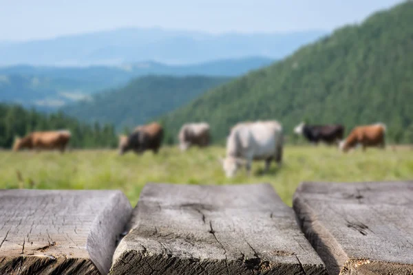 Wooden table near pasture — Stock Photo, Image