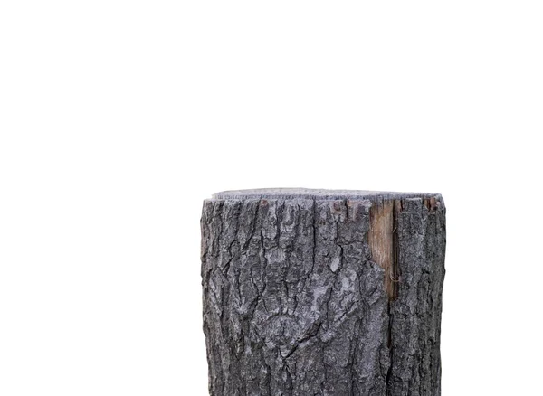 Stump isoleret på hvid - Stock-foto