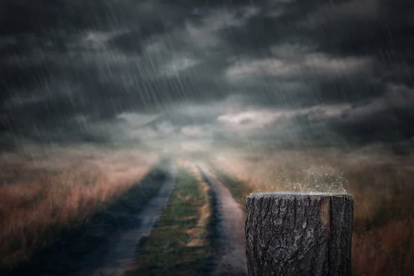 비오는 날 및 그 루터 기 — 스톡 사진