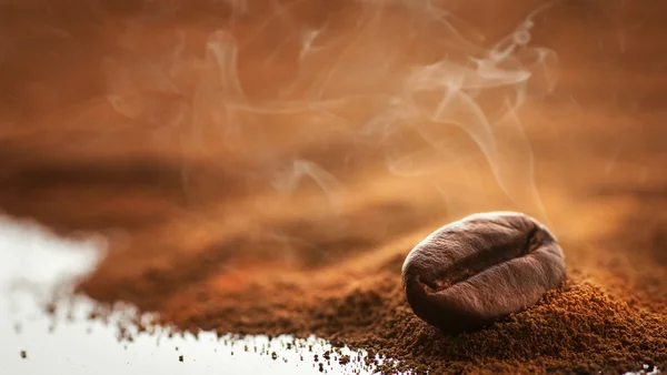 Świeże ziarna kawy — Zdjęcie stockowe