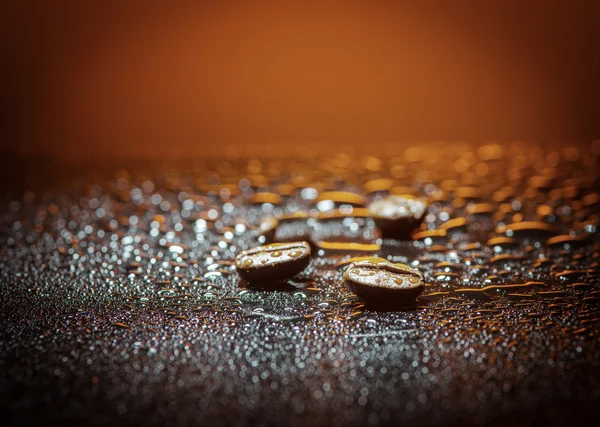 Kaffe bönor över våta bakgrund — Stockfoto