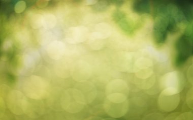 doğal arka plan bulanık