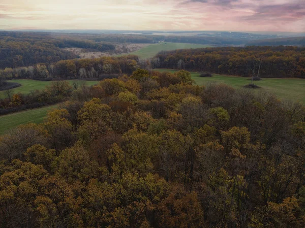 Vacker Höstskog Ovanifrån — Stockfoto