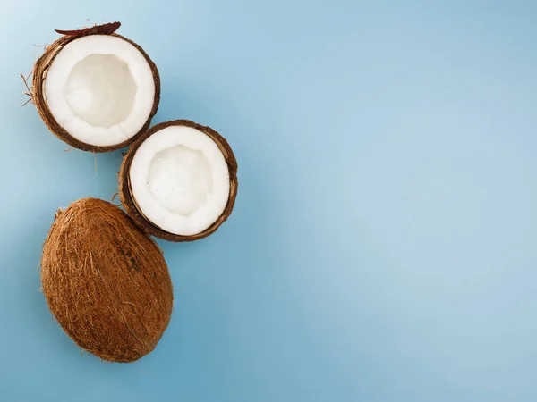 Coconuts Blue Background Top View — 图库照片