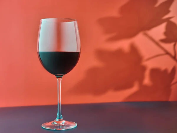 Verre Vin Rouge Ombre Feuilles Raisin — Photo