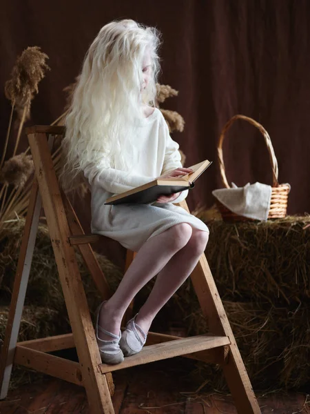 Retrato Hermosa Niña Leyendo Libro Interior Del Estudio Rústico — Foto de Stock