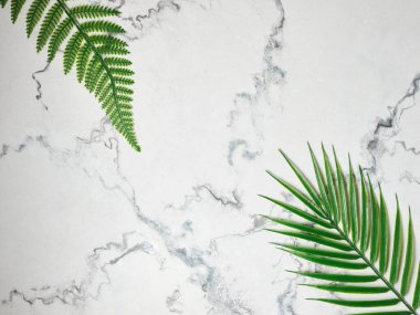 yeşil tropikal yapraklar mermer yüzeyde