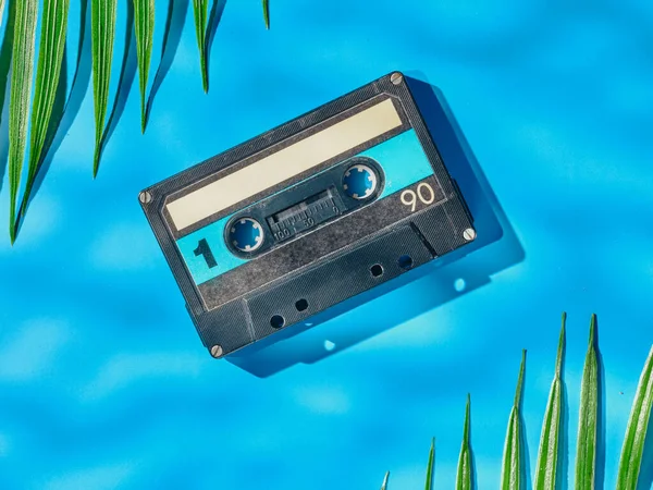 Винтажная Аудиокассета Синем Фоне Зелеными Листьями — стоковое фото