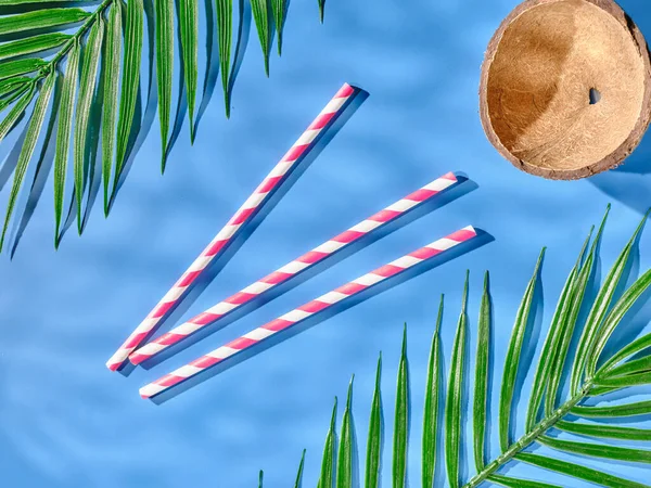 Striped Paper Straws Coconut Shell Green Leaves — Stock Photo, Image