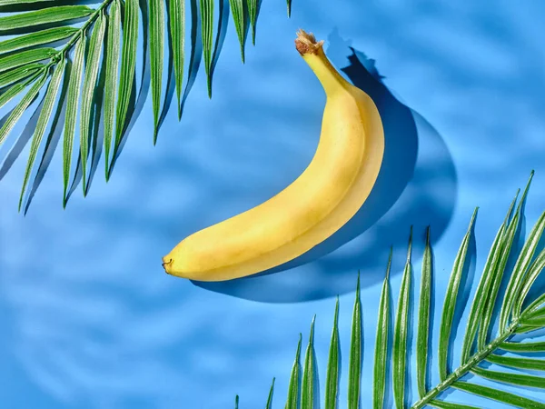 Banana Folhas Palma Mesa Azul — Fotografia de Stock
