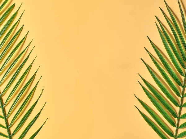 Желтый Фон Пальмовыми Ветвями Макет Подарка — стоковое фото