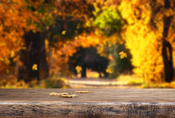 Tavolo con foglie d'autunno — Foto Stock