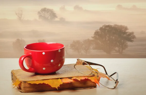 Red mug and book — Stock Photo, Image