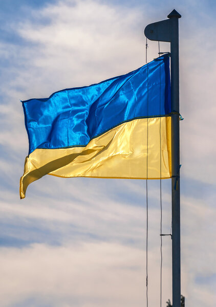 Флаг Украины
