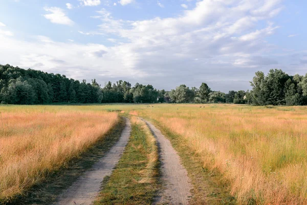 Country road on summer day — Stock Photo, Image