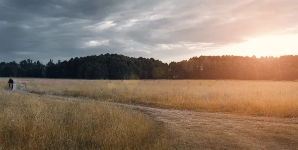 Moln och regn i fältet — Stockfoto