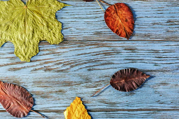 Hojas de otoño sobre mesa de madera —  Fotos de Stock