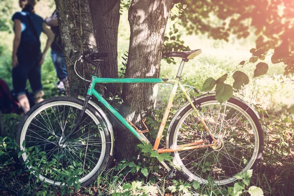 Bike near tree in forest — Stock Photo, Image