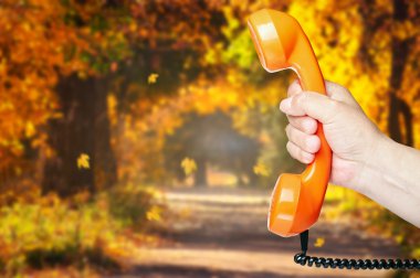El içinde sonbahar park telefon tutarak