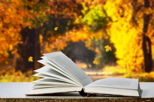 Libro en la mesa en el parque de otoño —  Fotos de Stock