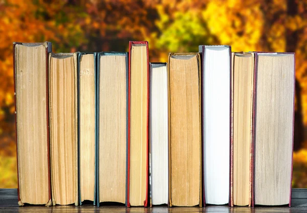 Books in autumn park — Stock Photo, Image