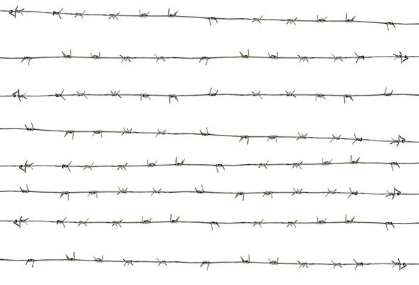 Barbed wire on white — Stock Photo, Image