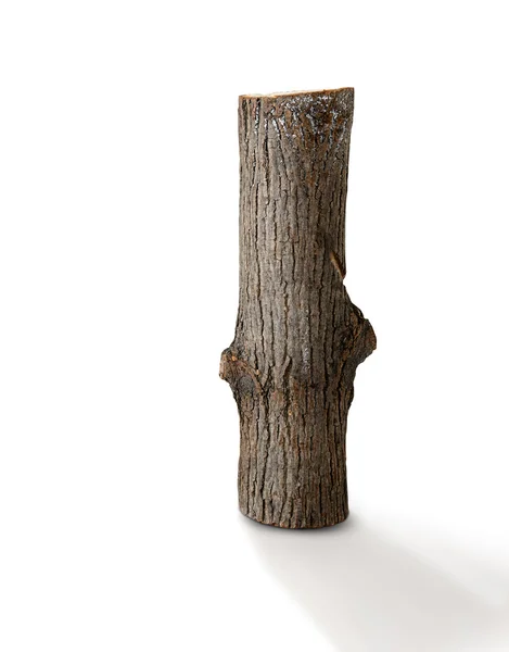 Wooden log on white — Stock Photo, Image