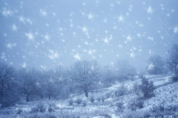 Paesaggio invernale naturale — Foto Stock