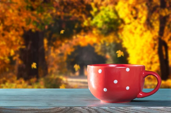 Cup in autumn garden — Stock Photo, Image