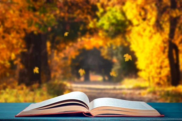Book in autumn park — Stock Photo, Image