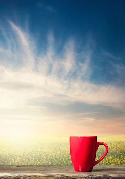 Kopp kaffe på naturlig bakgrunn – stockfoto