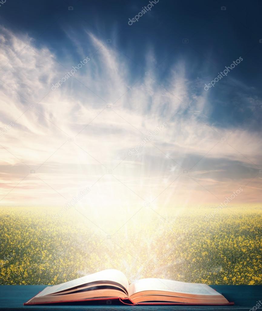 Magic book on natural background