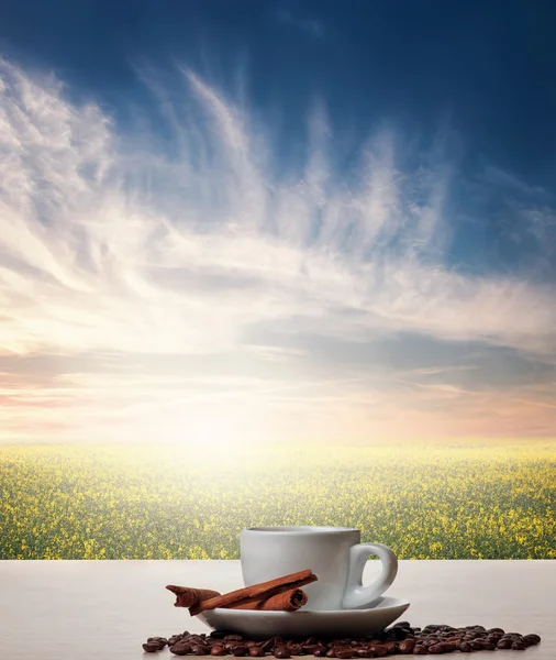 Kaffee mit Zimt gegen Naturlandschaft — Stockfoto