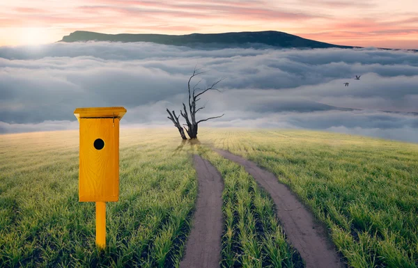 Nesting box on field — Stock Photo, Image