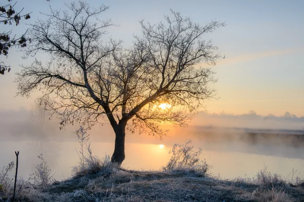 Dawn and cold morning — Stock Photo, Image