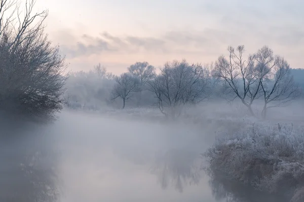 Холодное утро на реке — стоковое фото