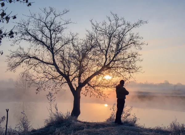 Frosty morning and tree and silhouette of a man — Stock Photo, Image