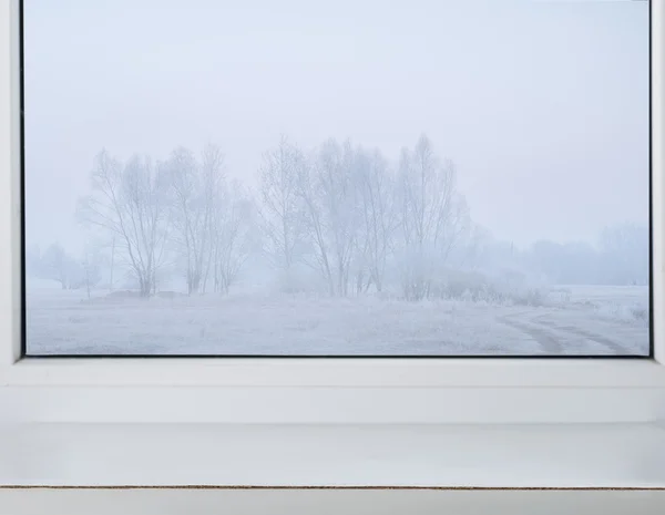 窓の外の冬の風景 — ストック写真