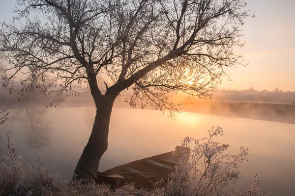 Mañana de invierno junto al estanque —  Fotos de Stock