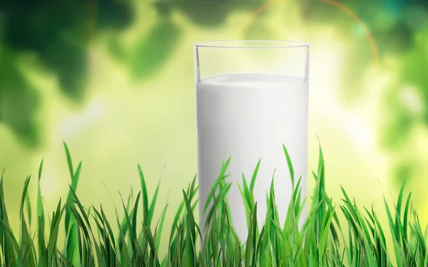 Glas mjölk i gräs — Stockfoto