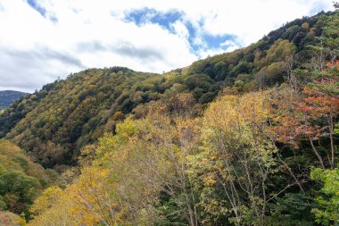 Romanya 'nın güzel kırsal kesiminin manzarası. Güneşli bir öğleden sonra. Dağlardaki harika bahar manzarası. 